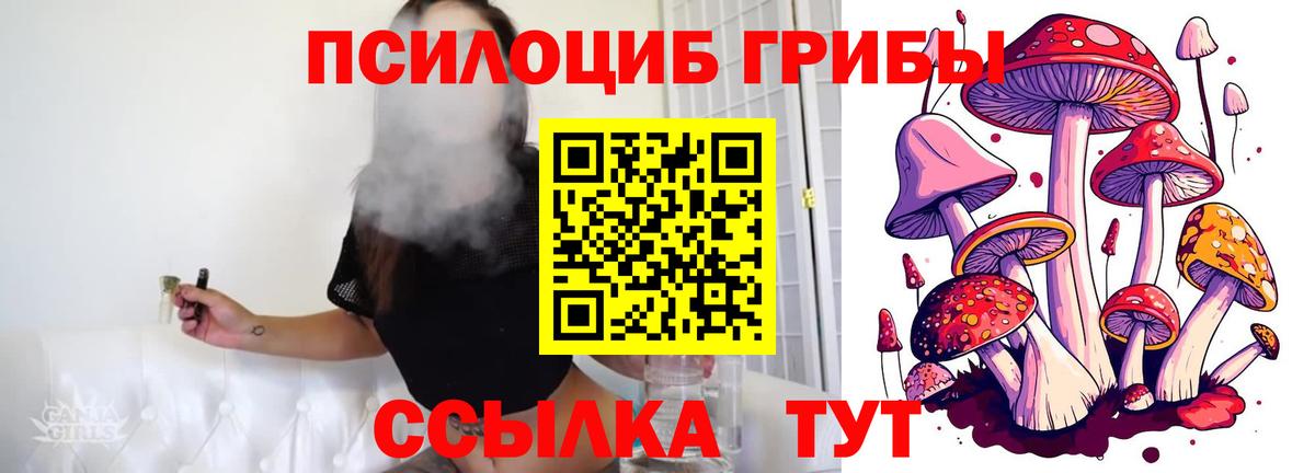 Междуреченск  Галлюциногенные грибы MAGIC MUSHROOMS  Вход с VPN 